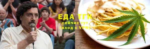 индика Бронницы