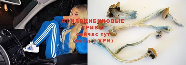 кокаин Бородино