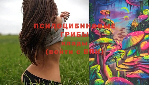 мяу мяу мука Бугульма