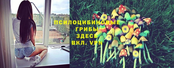 кокаин Бородино