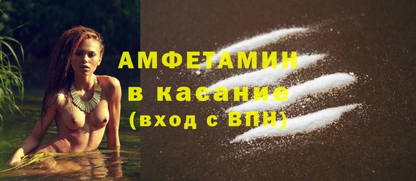 индика Бронницы