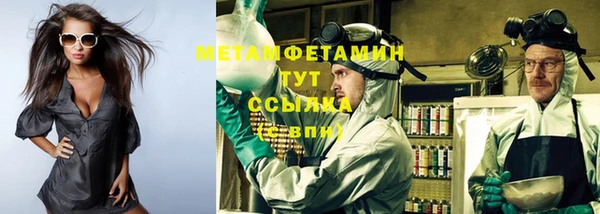 индика Бронницы