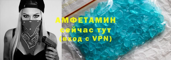 индика Бронницы